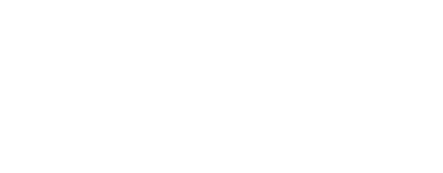 digitaleweerbaarheidlogo_wit